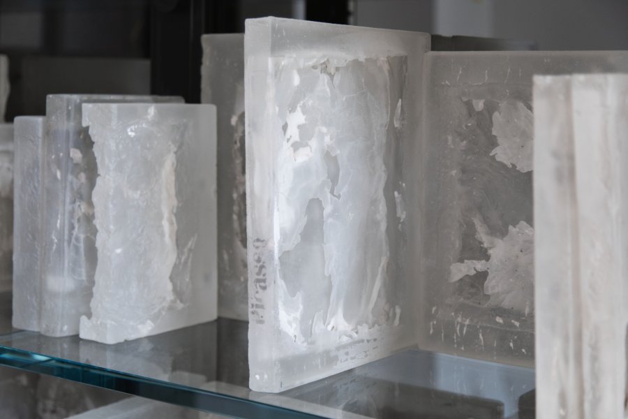 Bibliothèque cristallisée Pablo Picasso, 2020-2024 cristallisation au livre perdu verre optique, 168 éléments. Maître verrier Olivier Juteau