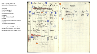 Pages Y2–3 from of the Y Notebook with identifications of Field’s transcriptions (blue letters) and annotations (orange number)