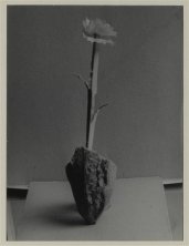 Brassaï, Sculpture en papier « Fleur » tenue par un morceau de pain de 1941, dans l'atelier de Dora Maar, Paris, novembre 1946 Musée national Picasso-Paris Achat Gilberte Brassaï, 1996